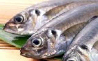 Пресноводная рыба судак: польза и вред, вкус и выбор Судак пищевая ценность